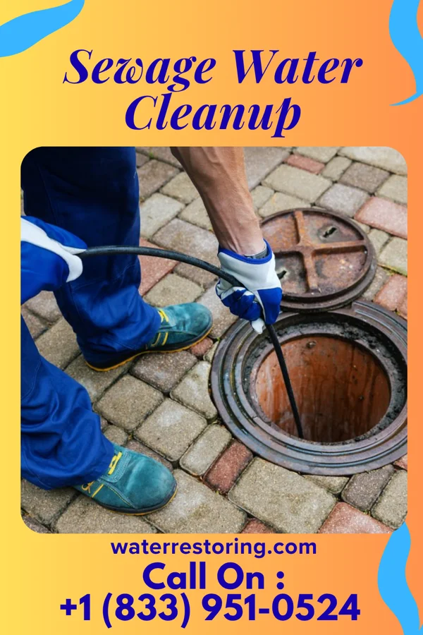 Sewage Water Cleanup in Hedwig Village, TX